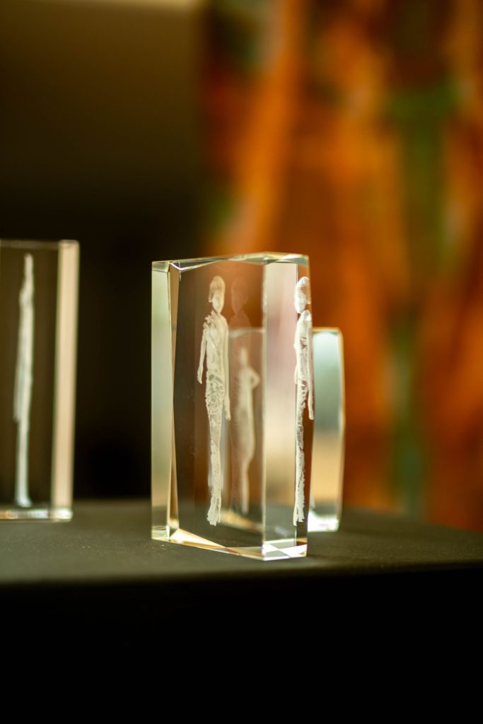 Fleeting and Tangible identities; the self through screens